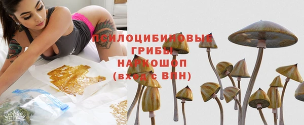 круглые Аркадак