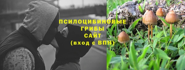 apvp Армянск